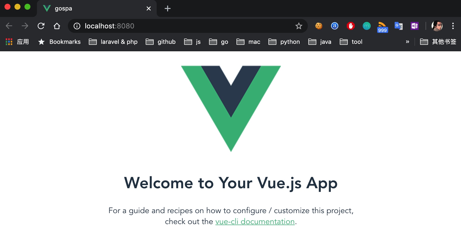 Vue SPA应用