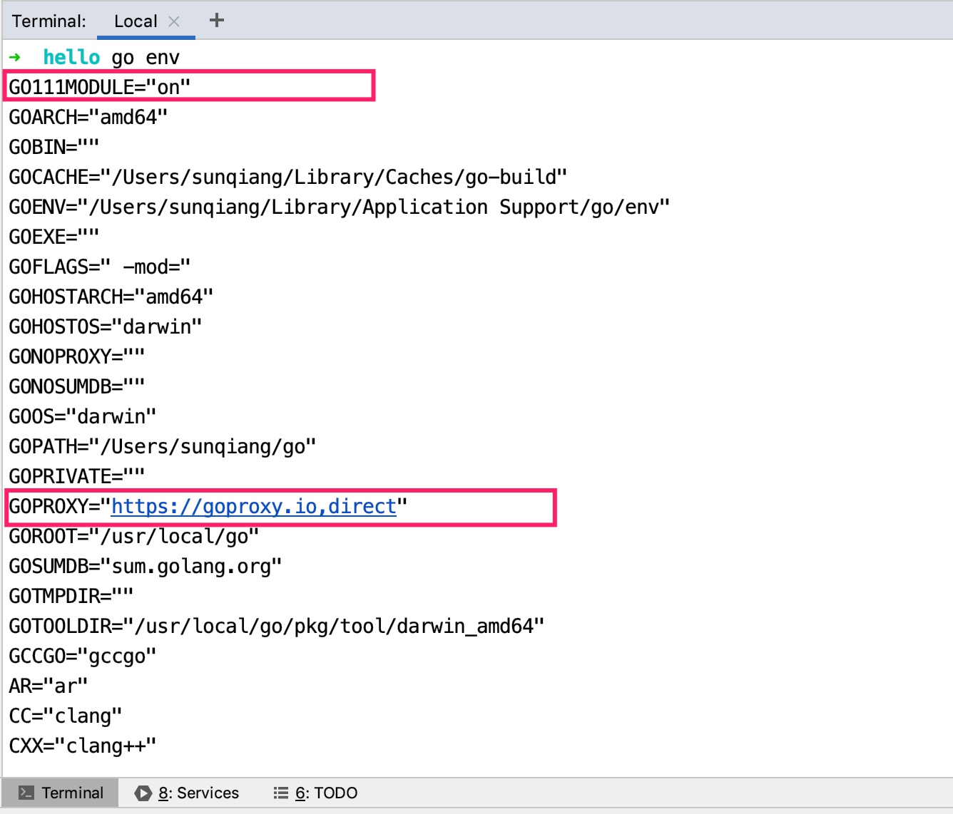 go env