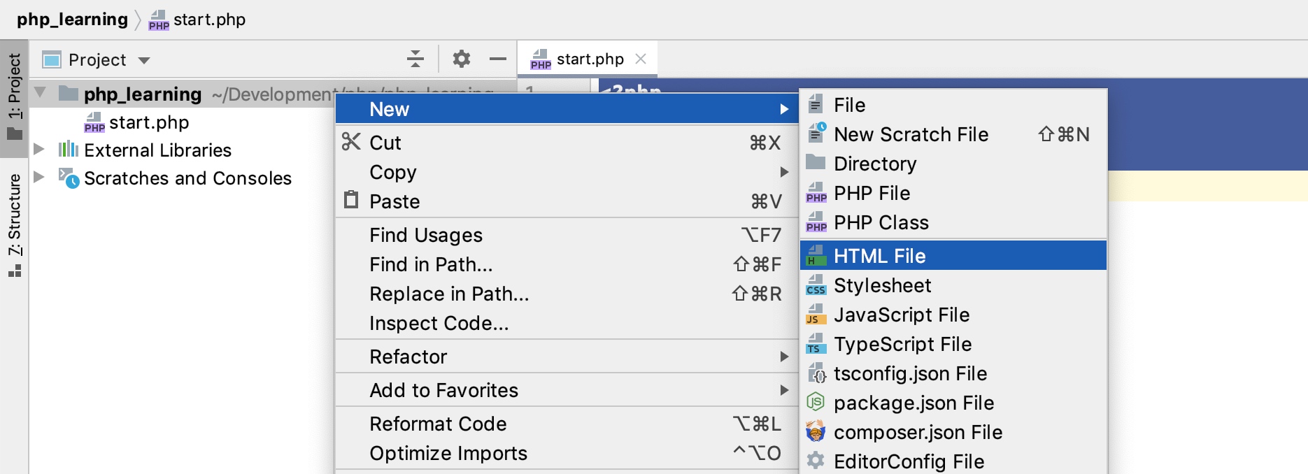 在 PhpStorm 中新建 HTML 文件