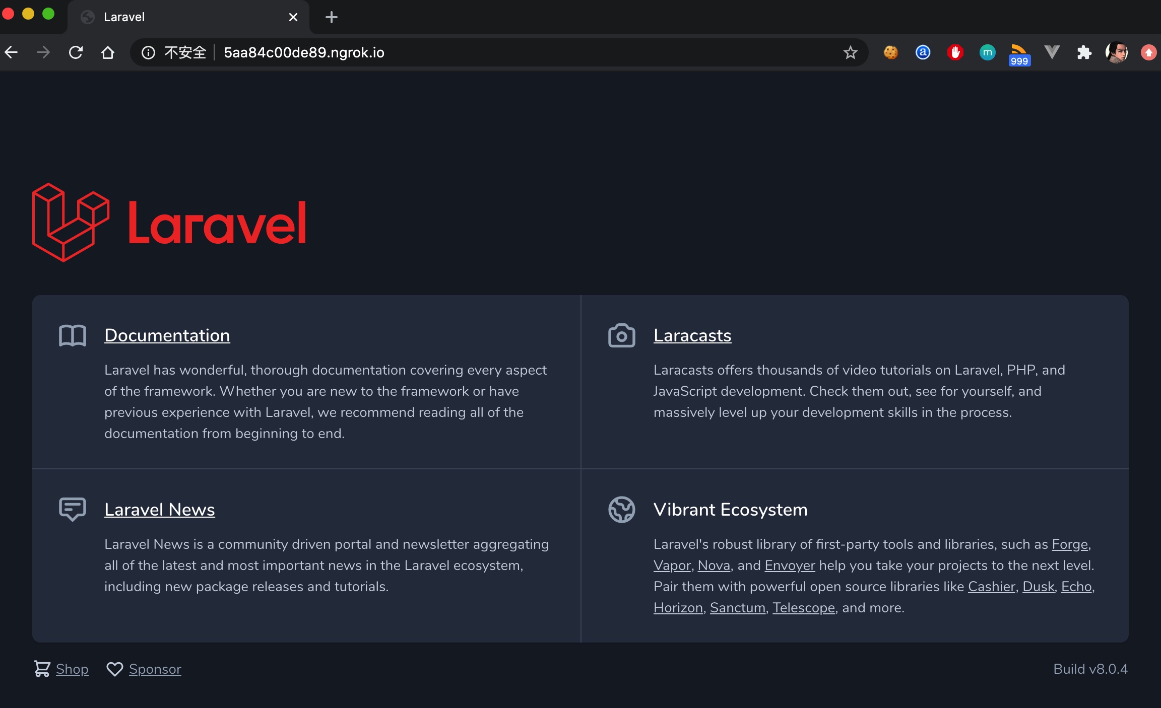 访问通过 Ngrok 分享的 Laravel 站点