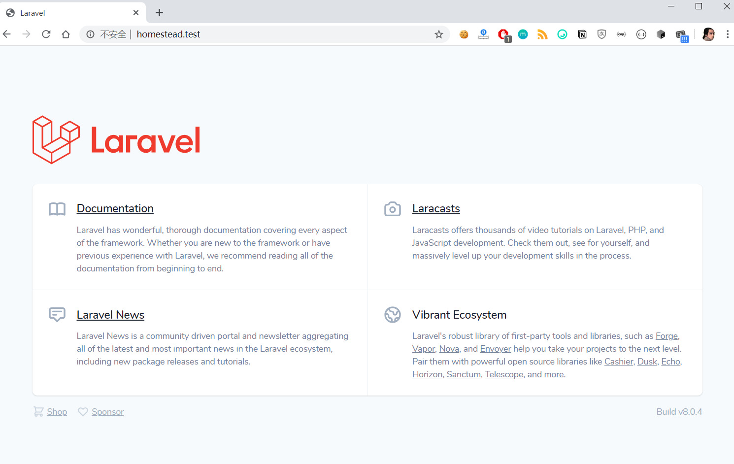 访问部署在 Homestead 中的 Laravel 项目