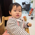 落花如雾