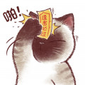 白小白