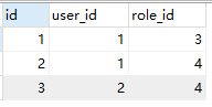 中间表role_user