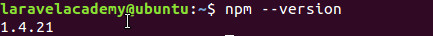 Ubuntu查看npm版本信息