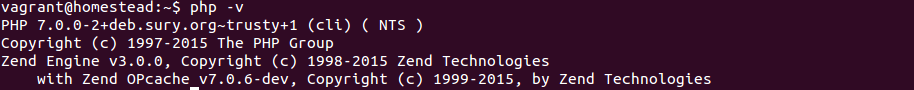 在Homestead查看PHP版本信息