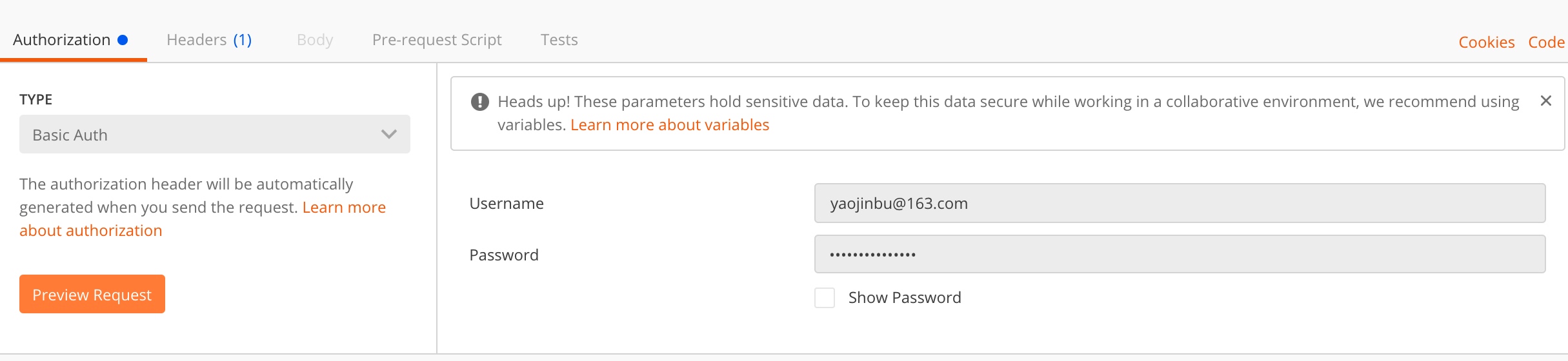 Postman Basic Authorization